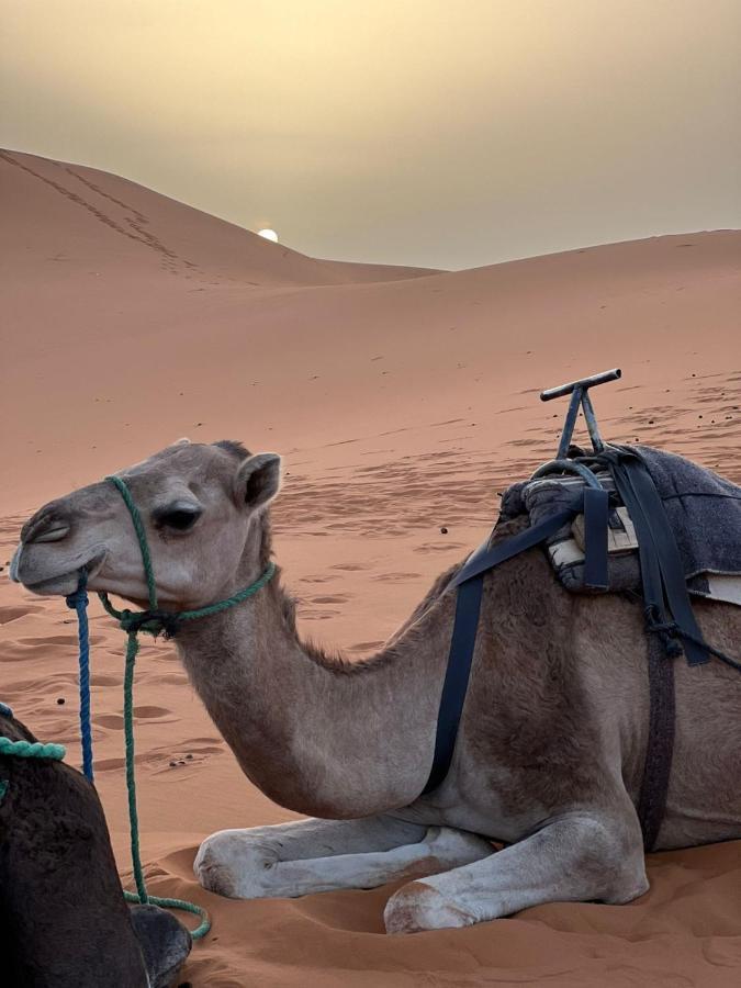Riad Aicha Merzouga Eksteriør billede